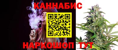 индика Лесосибирск