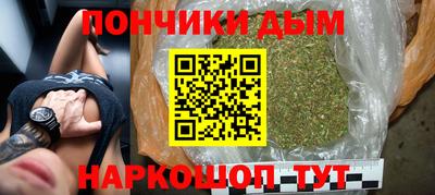 индика Лесосибирск