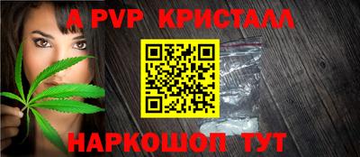 индика Лесосибирск