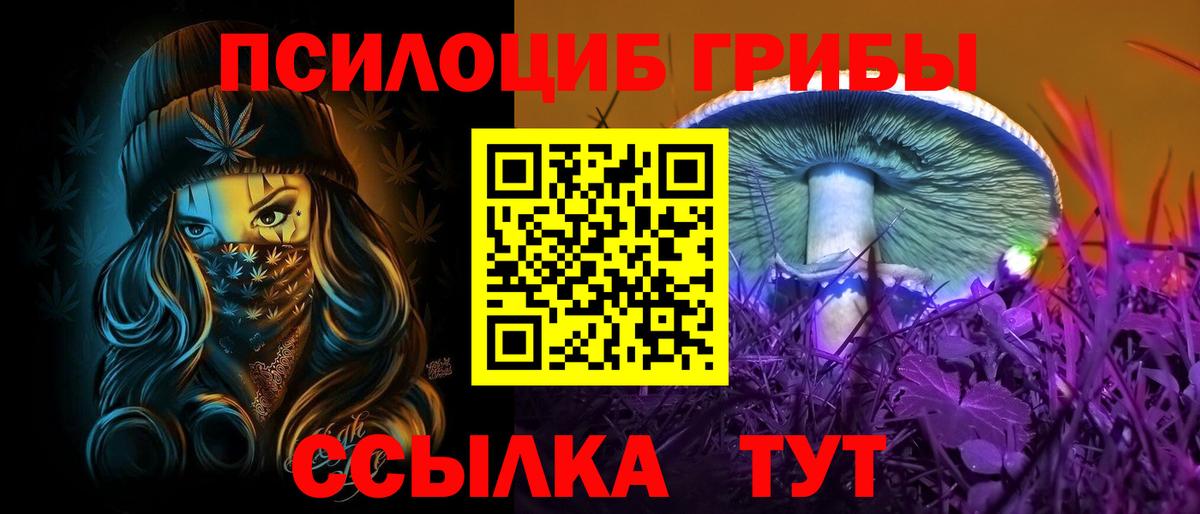 Каменск-Уральский  Псилоцибиновые грибы прущие грибы  Вход с VPN 